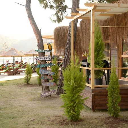 Green Pine Bungalows & Beach Luxury Concept Ölüdeniz Zewnętrze zdjęcie