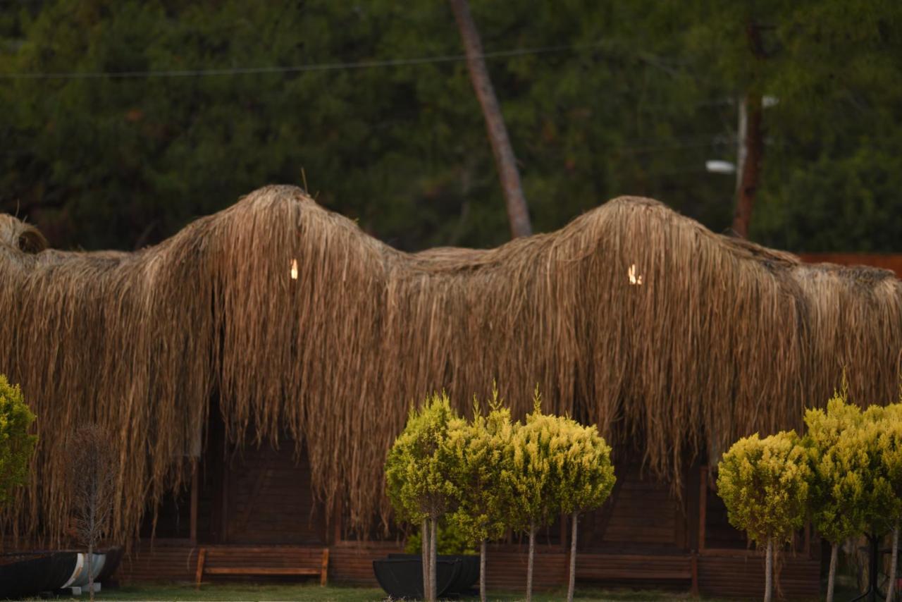 Green Pine Bungalows & Beach Luxury Concept Ölüdeniz Zewnętrze zdjęcie