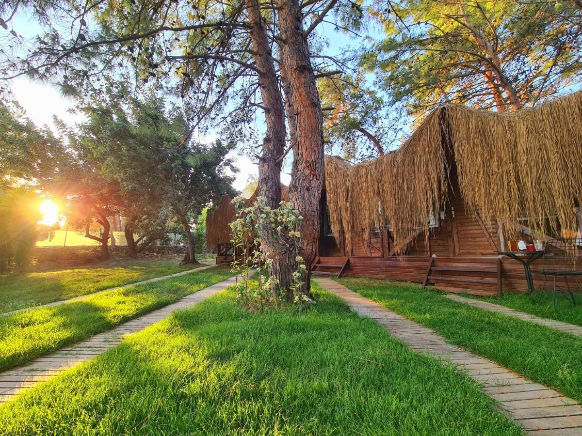 Green Pine Bungalows & Beach Luxury Concept Ölüdeniz Zewnętrze zdjęcie