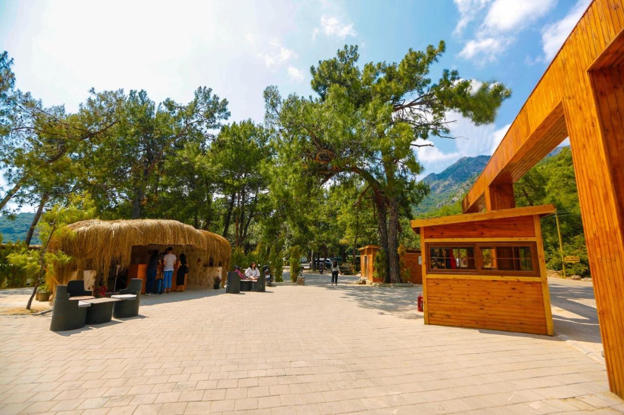 Green Pine Bungalows & Beach Luxury Concept Ölüdeniz Zewnętrze zdjęcie