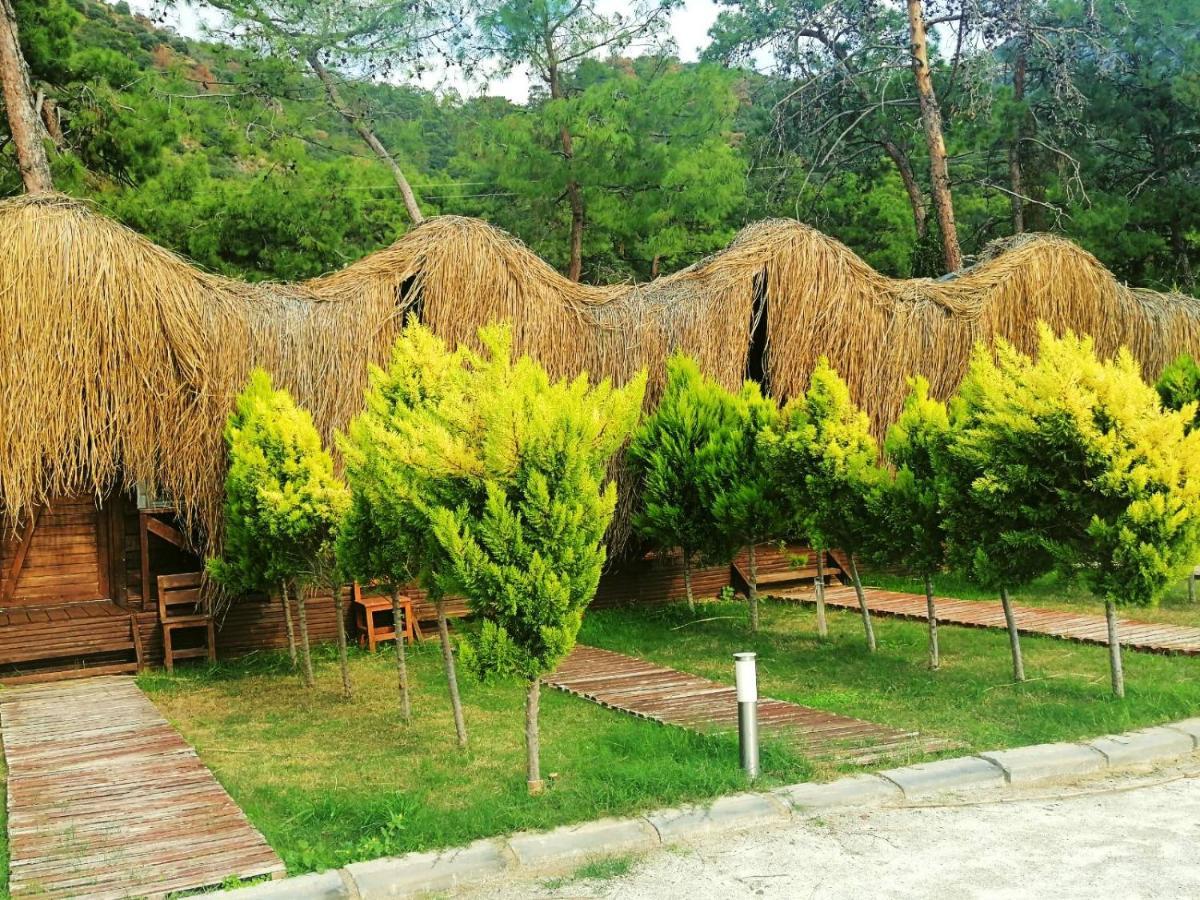 Green Pine Bungalows & Beach Luxury Concept Ölüdeniz Zewnętrze zdjęcie