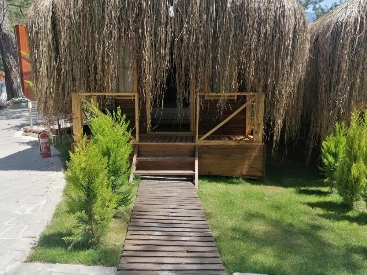 Green Pine Bungalows & Beach Luxury Concept Ölüdeniz Zewnętrze zdjęcie