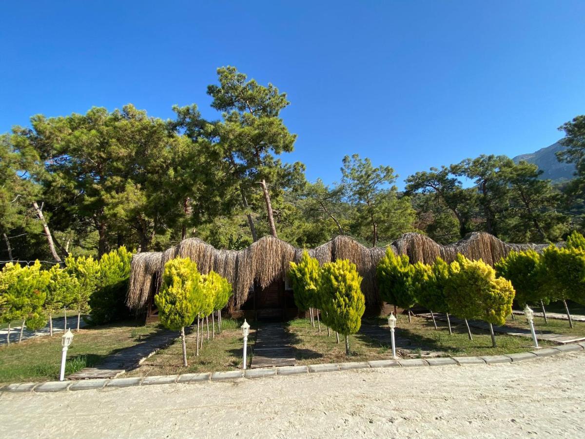 Green Pine Bungalows & Beach Luxury Concept Ölüdeniz Zewnętrze zdjęcie
