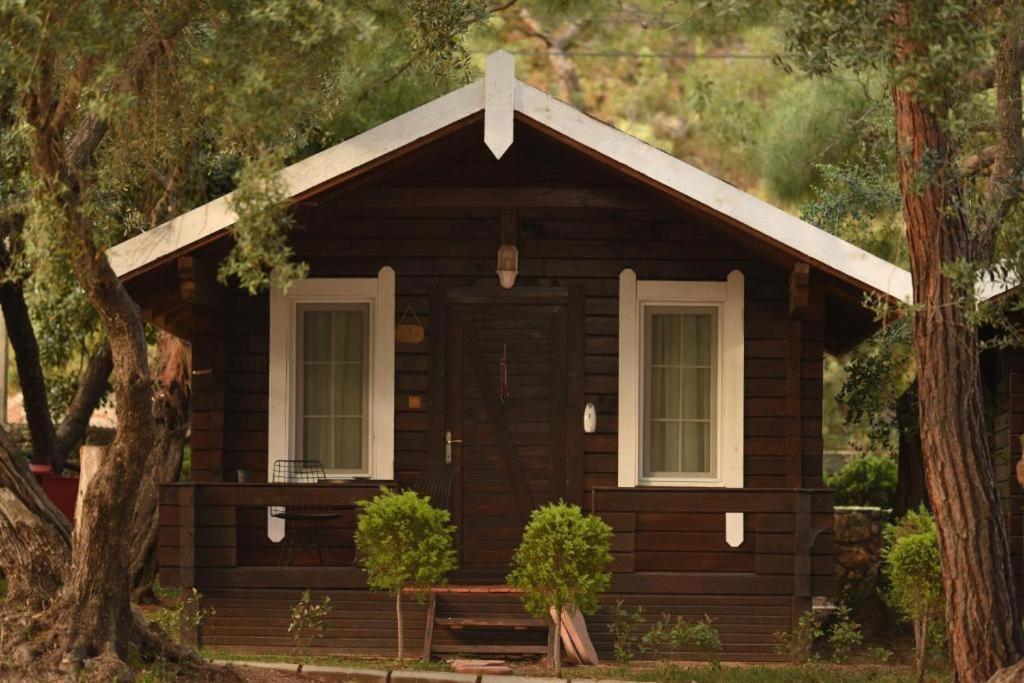 Green Pine Bungalows & Beach Luxury Concept Ölüdeniz Zewnętrze zdjęcie